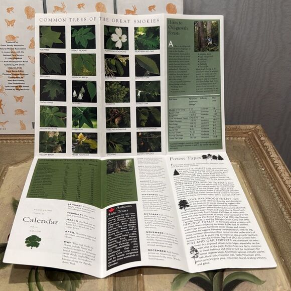 Vintage 1998 Great Smoky Mountains National Park Pamphlets Set of Four - Picture 7 of 16